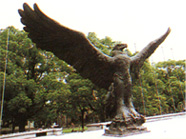 shanghai University